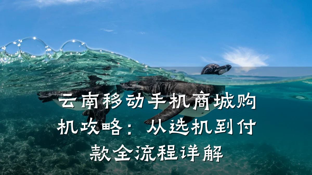 云南移动手机商城购机攻略:从选机到付款全流程详解