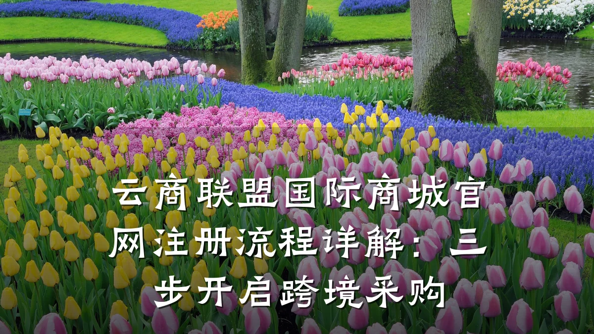 云商联盟国际商城官网注册流程详解:三步开启跨境采购