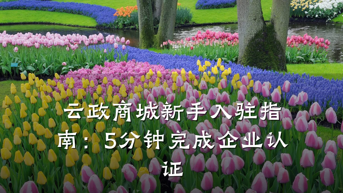 云政商城新手入驻指南:5分钟完成企业认证