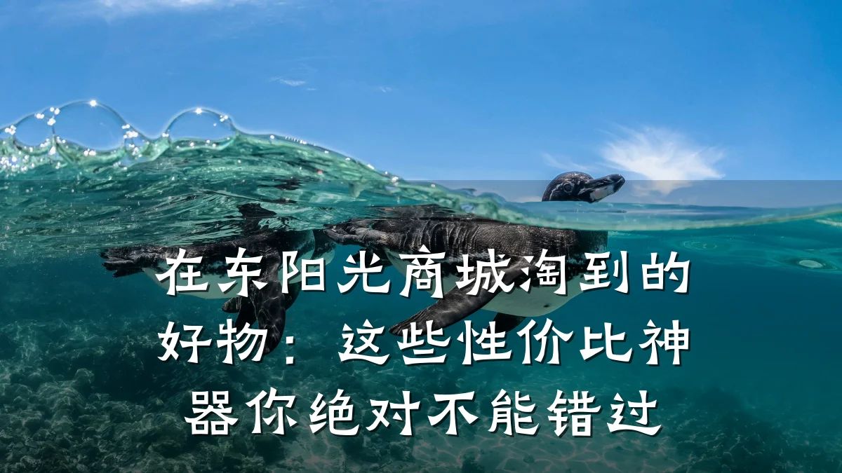 在东阳光商城淘到的好物：这些性价比神器你绝对不能错过