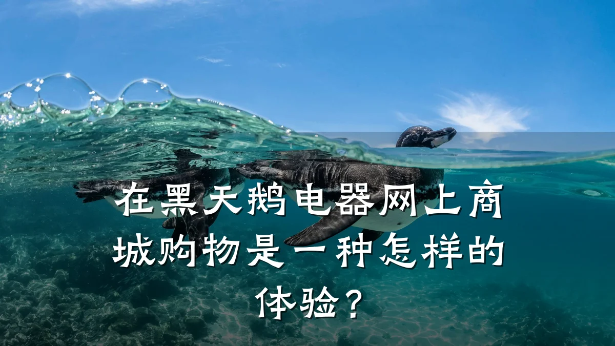 在黑天鹅电器网上商城购物是一种怎样的体验？