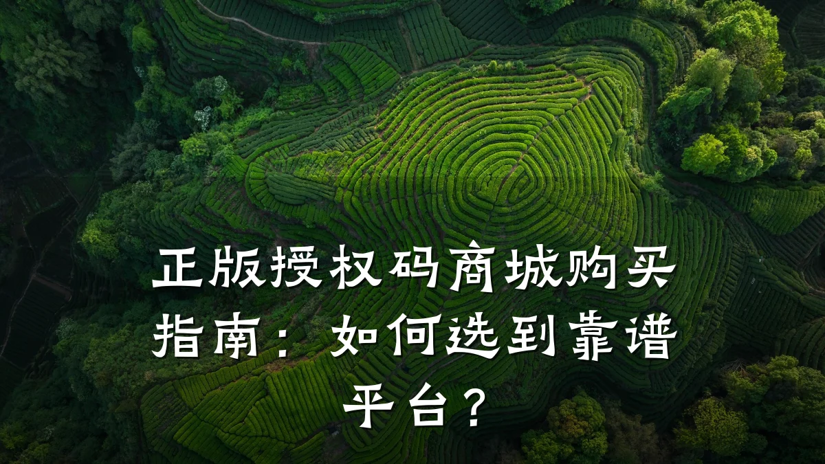 正版授权码商城购买指南:如何选到靠谱平台?