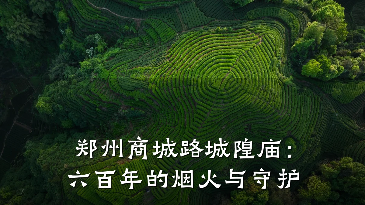 郑州商城路城隍庙：六百年的烟火与守护