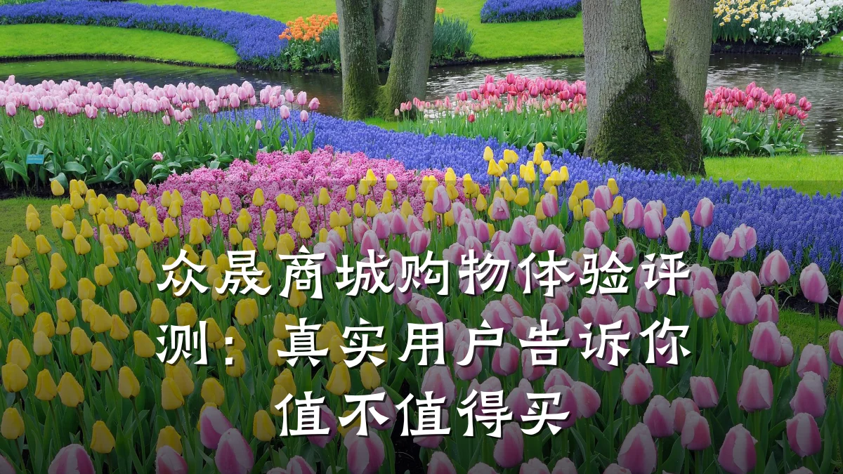 众晟商城购物体验评测:真实用户告诉你值不值得买