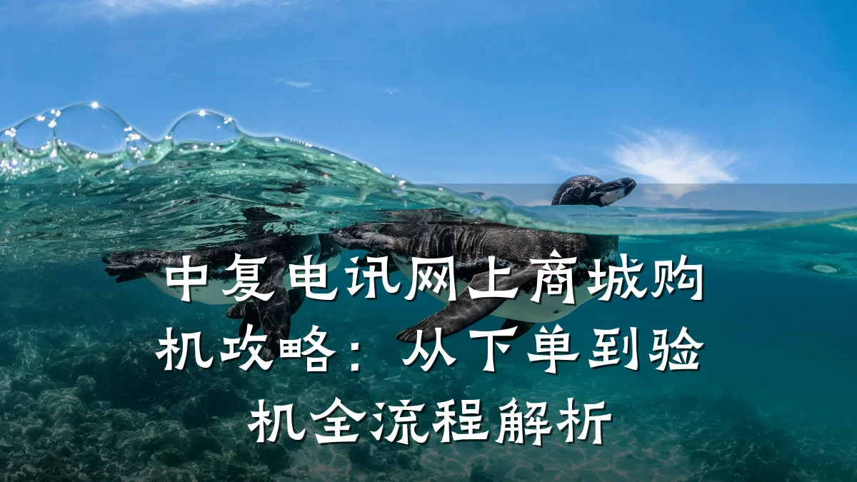 中复电讯网上商城购机攻略:从下单到验机全流程解析