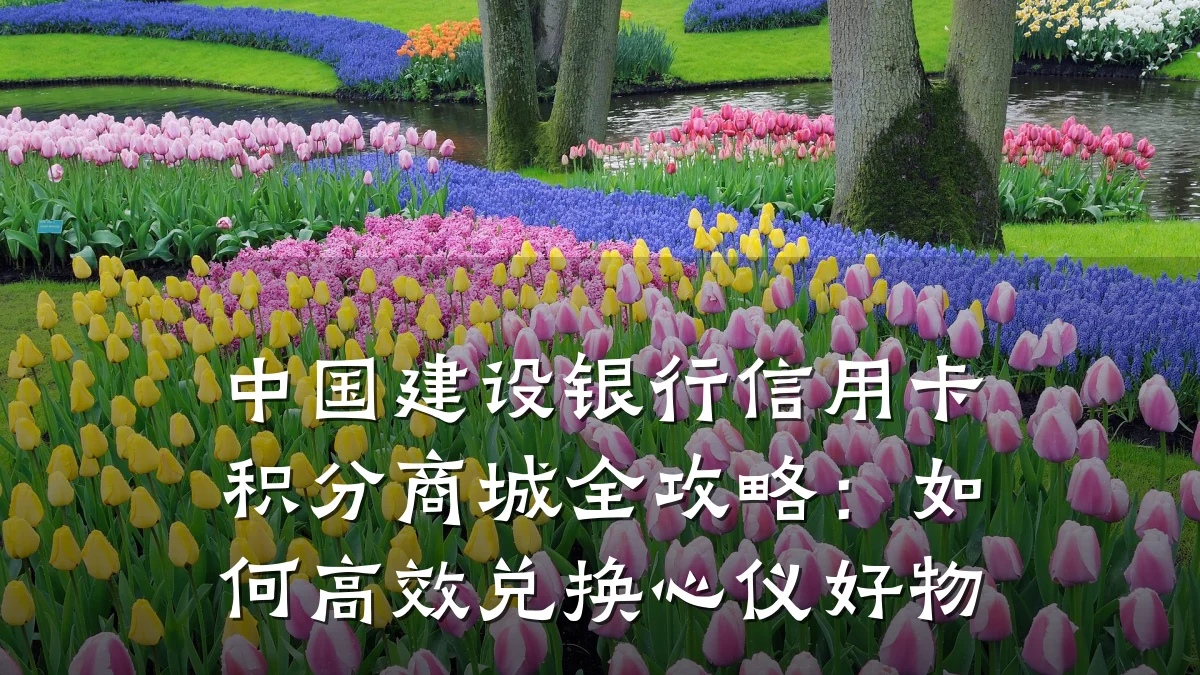 中国建设银行信用卡积分商城全攻略:如何高效兑换心仪好物