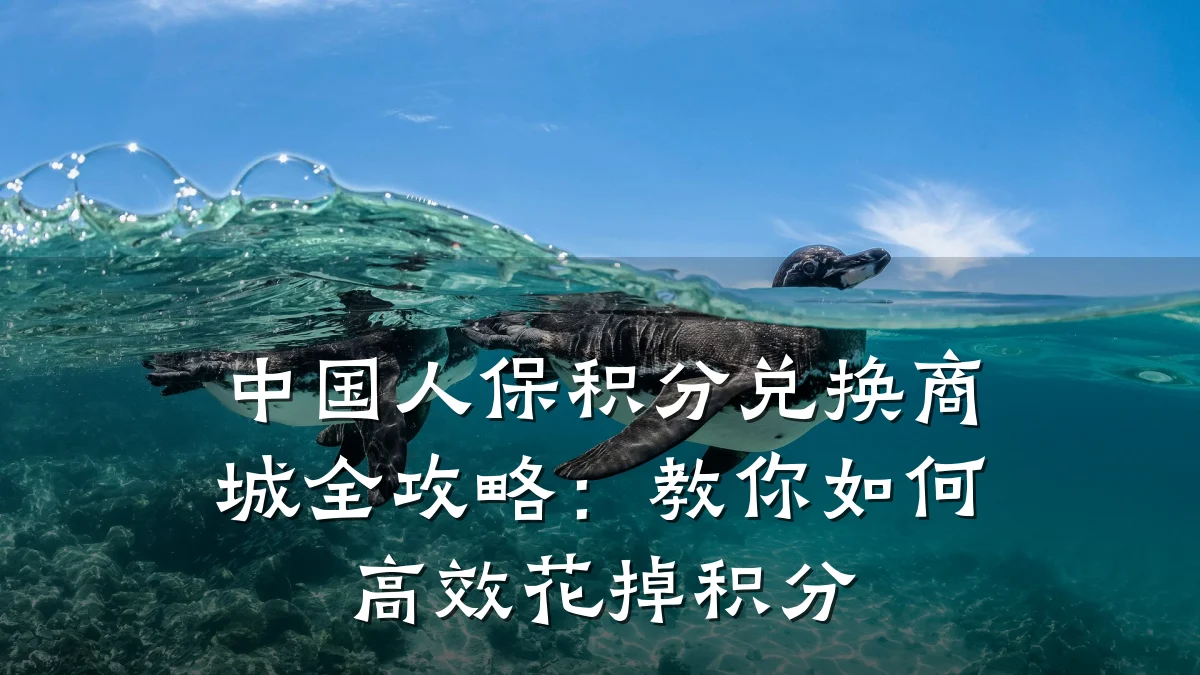 中国人保积分兑换商城全攻略:教你如何高效花掉积分