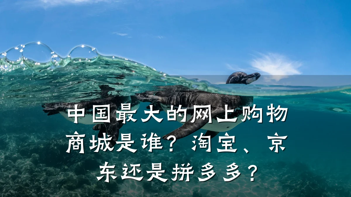 中国最大的网上购物商城是谁?淘宝、京东还是拼多多?