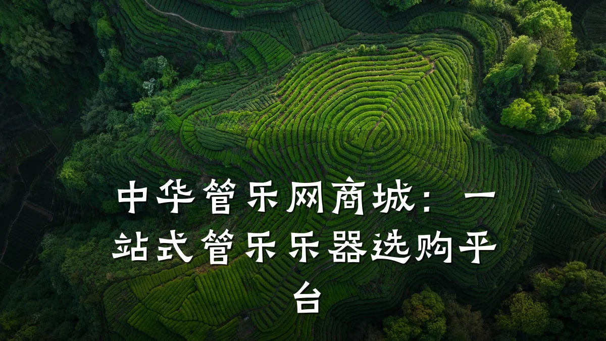 中华管乐网商城：一站式管乐乐器选购平台