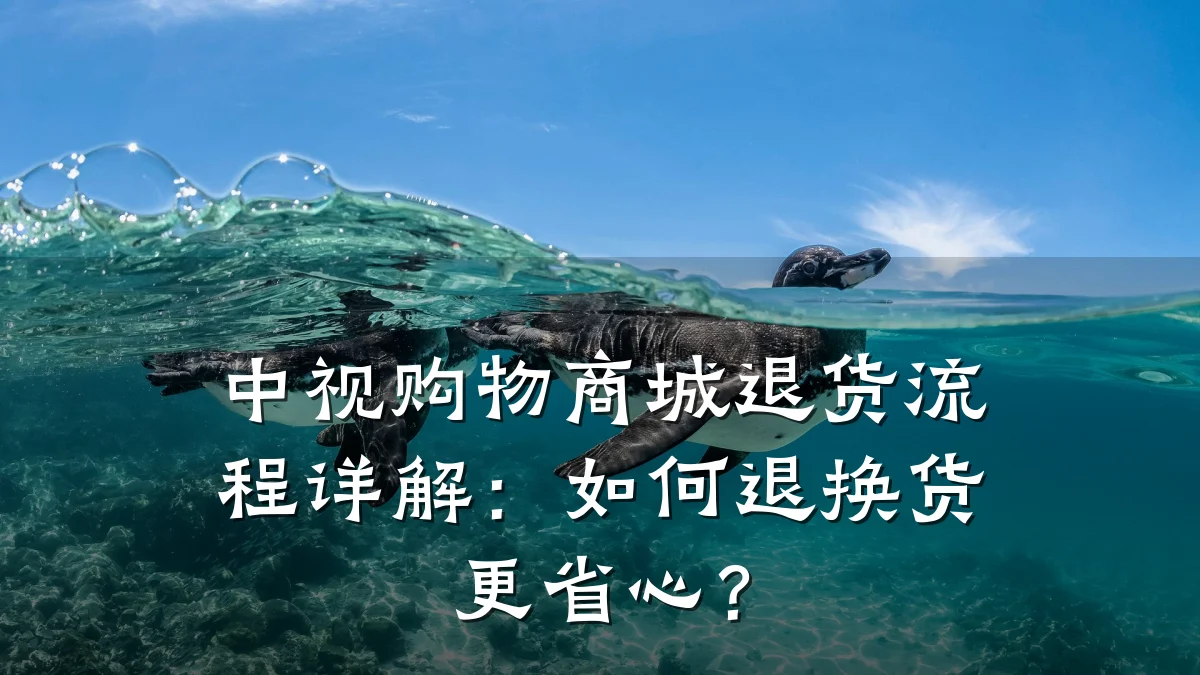 中视购物商城退货流程详解:如何退换货更省心?