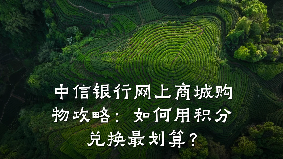 中信银行网上商城购物攻略:如何用积分兑换最划算?