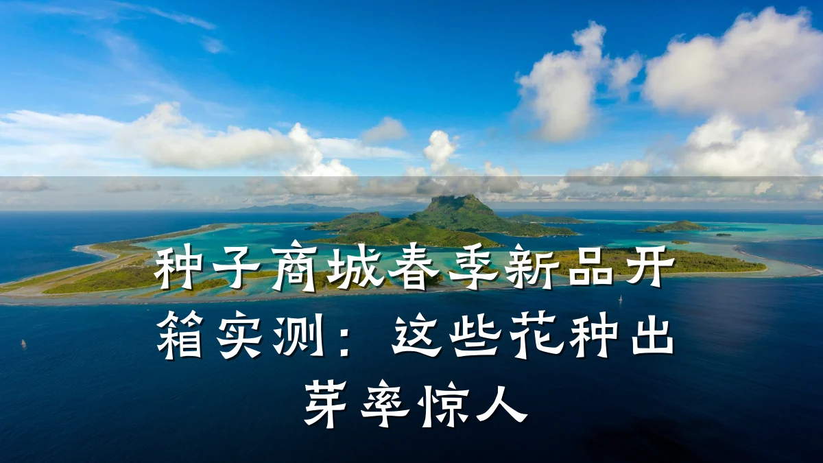 种子商城春季新品开箱实测:这些花种出芽率惊人