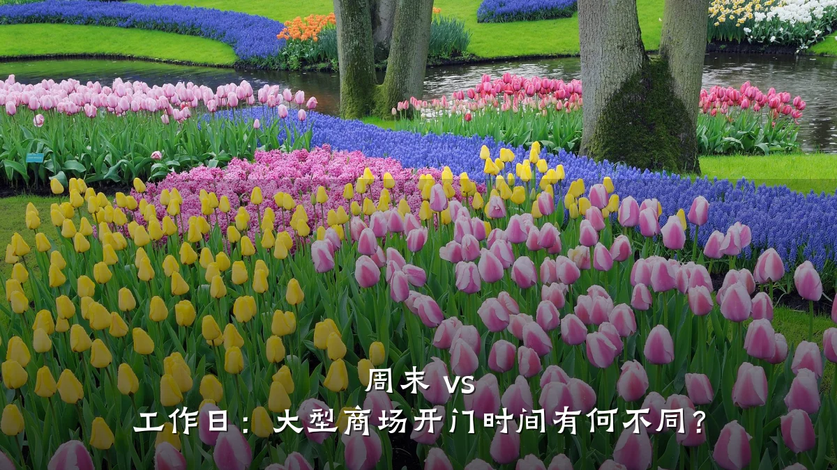 周末 vs 工作日：大型商场开门时间有何不同？