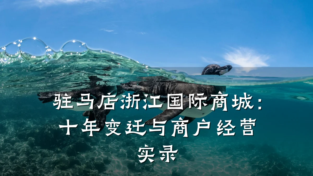 驻马店浙江国际商城:十年变迁与商户经营实录
