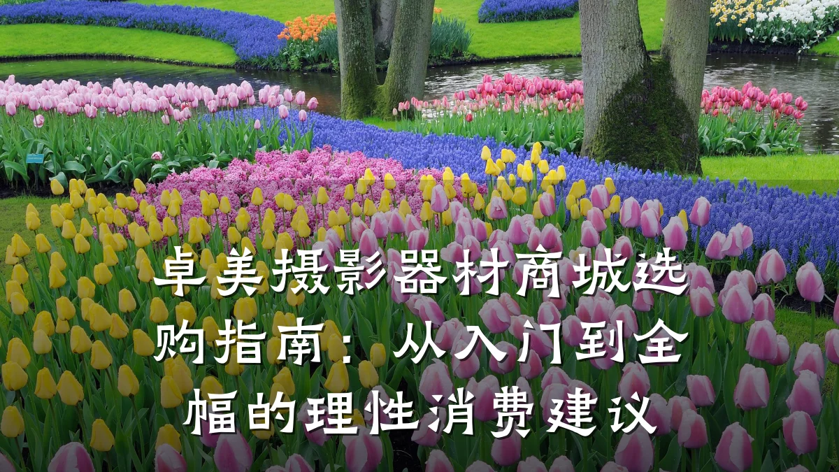 卓美摄影器材商城选购指南：从入门到全幅的理性消费建议