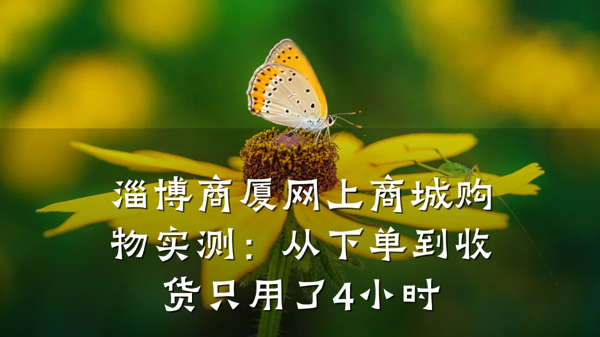 淄博商厦网上商城购物实测:从下单到收货只用了4小时
