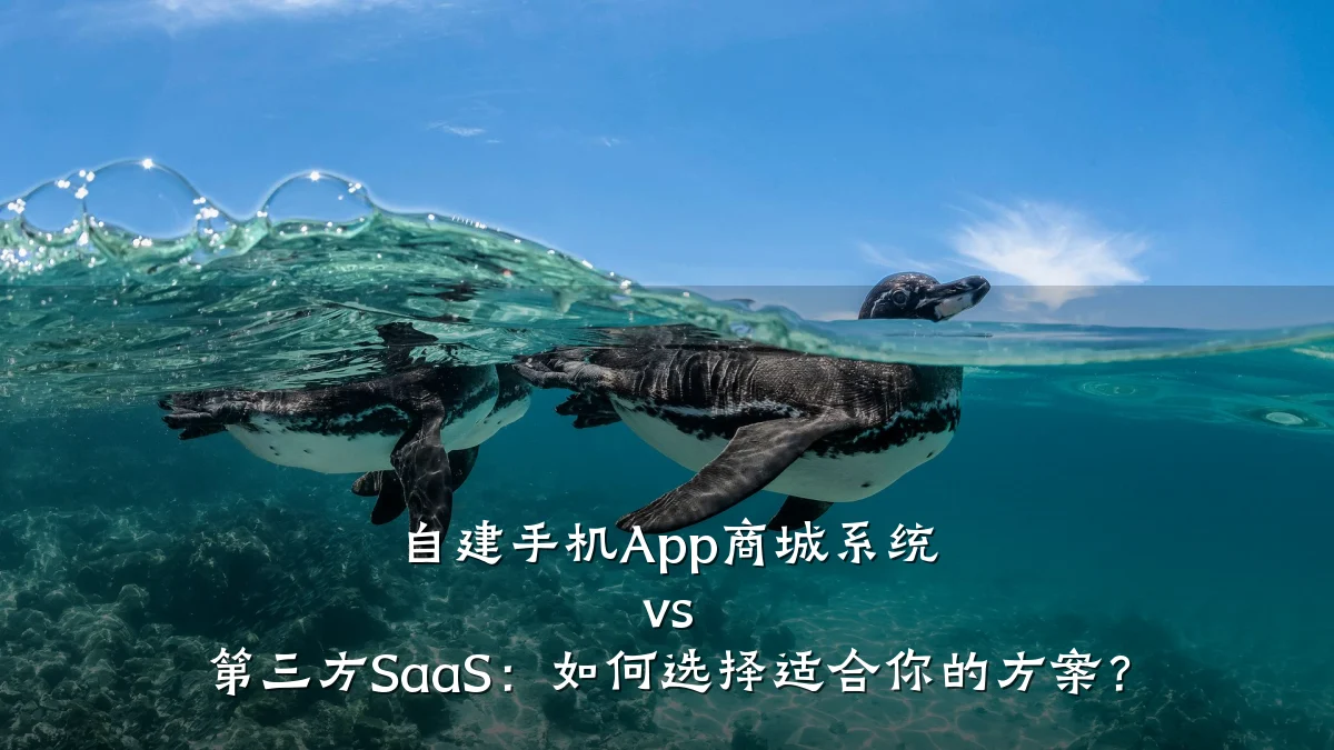 自建手机App商城系统 vs 第三方SaaS:如何选择适合你的方案?