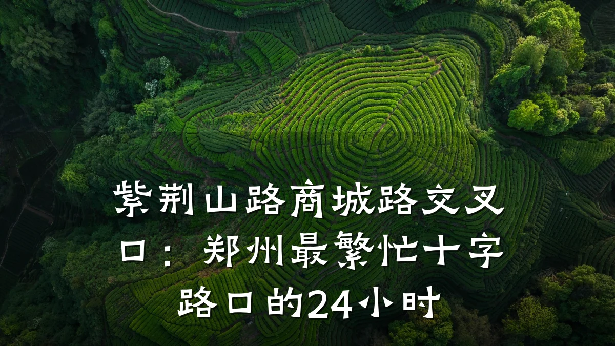 紫荆山路商城路交叉口:郑州最繁忙十字路口的24小时