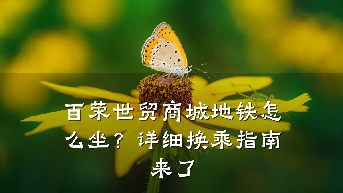 百荣世贸商城地铁怎么坐？详细换乘指南来了