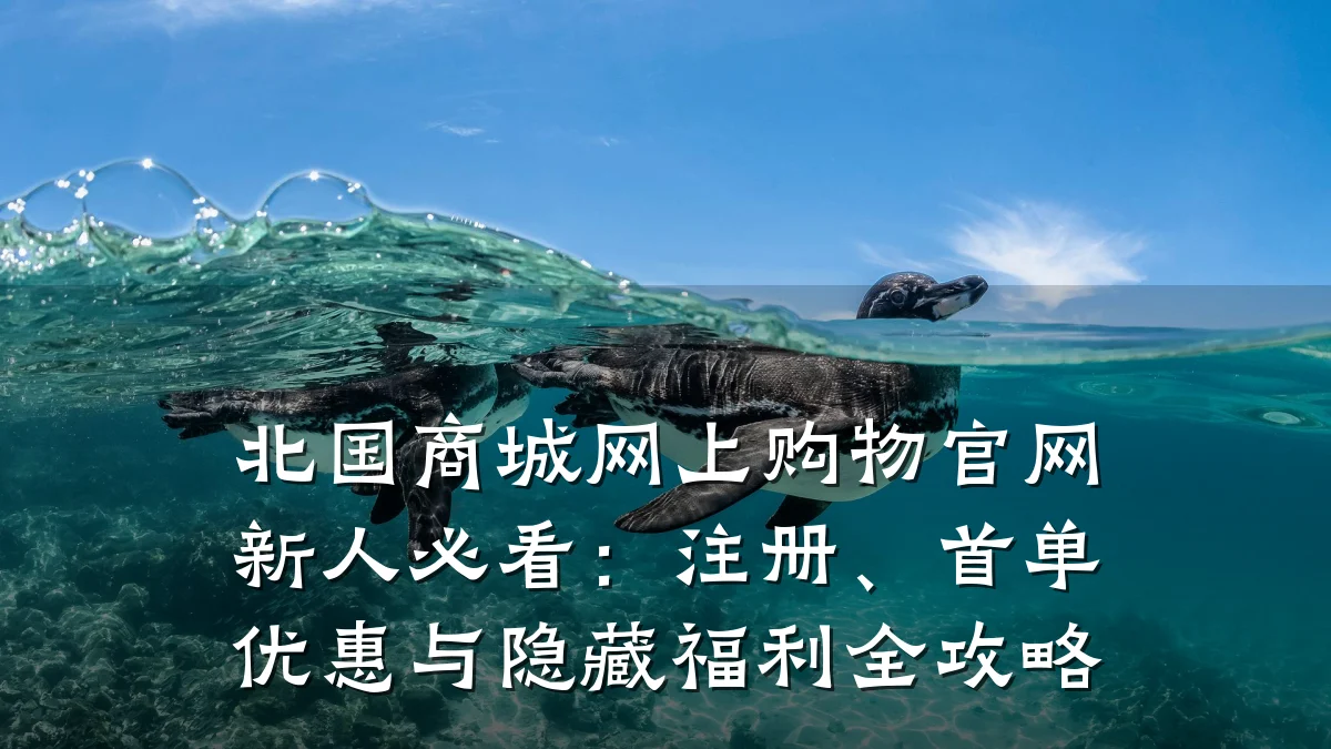 北国商城网上购物官网新人必看:注册、首单优惠与隐藏福利全攻略