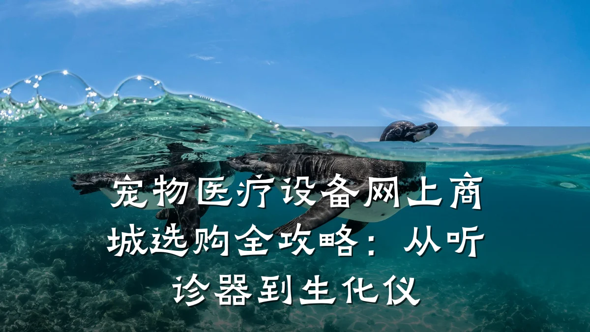 宠物医疗设备网上商城选购全攻略:从听诊器到生化仪