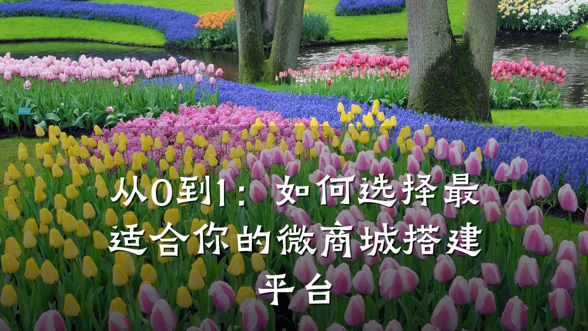从0到1:如何选择最适合你的微商城搭建平台