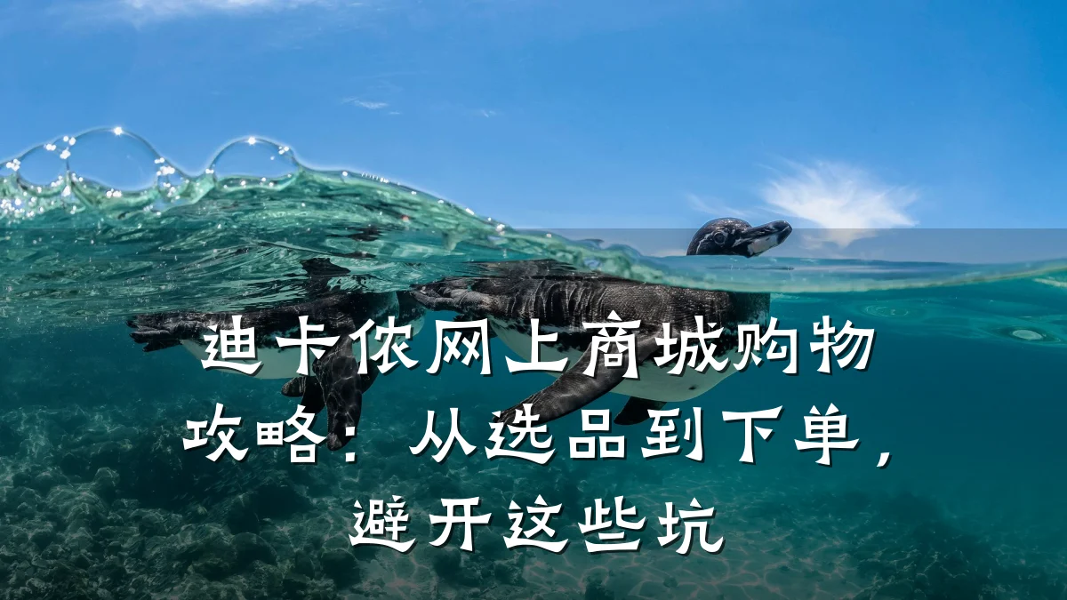 迪卡侬网上商城购物攻略：从选品到下单，避开这些坑