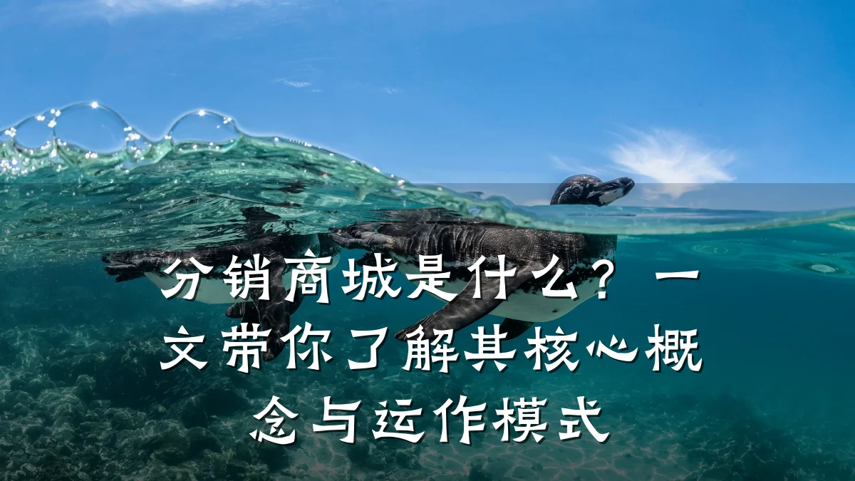 分销商城是什么？一文带你了解其核心概念与运作模式