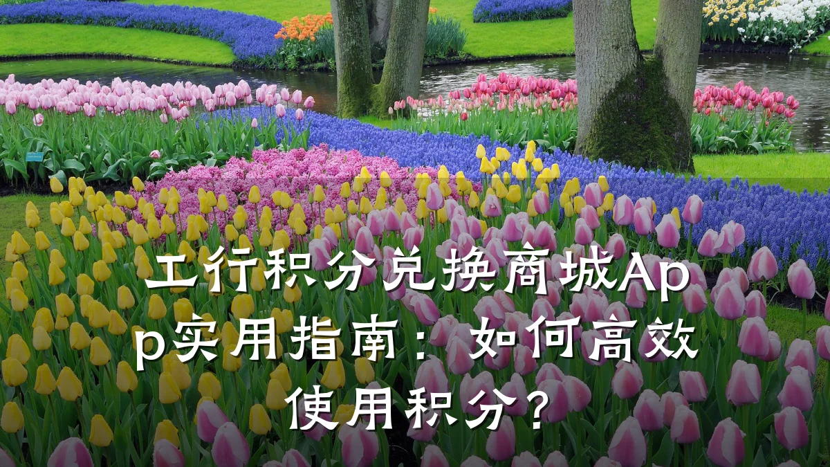 工行积分兑换商城App实用指南:如何高效使用积分?