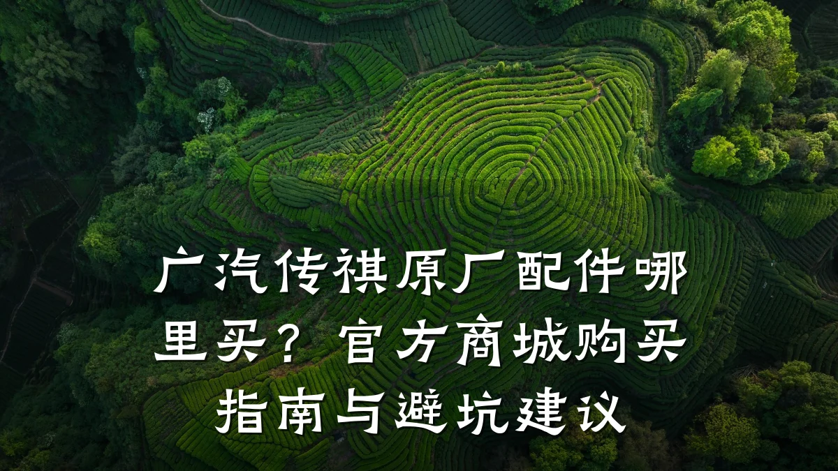 广汽传祺原厂配件哪里买？官方商城购买指南与避坑建议