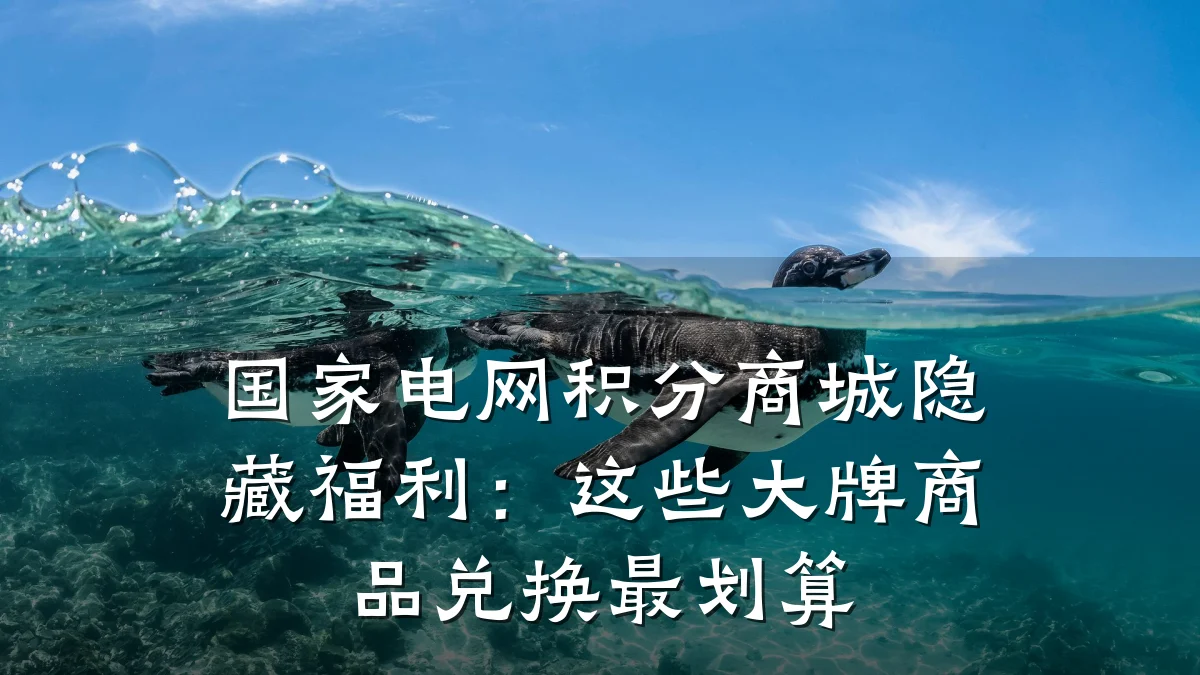 国家电网积分商城隐藏福利：这些大牌商品兑换最划算