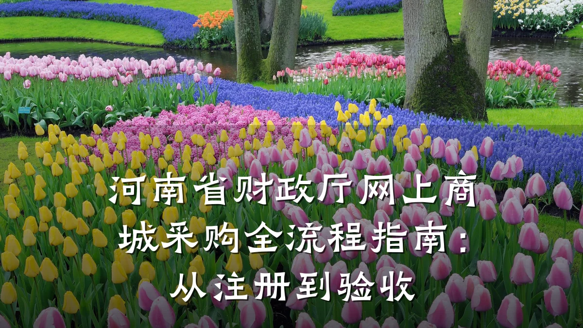 河南省财政厅网上商城采购全流程指南：从注册到验收