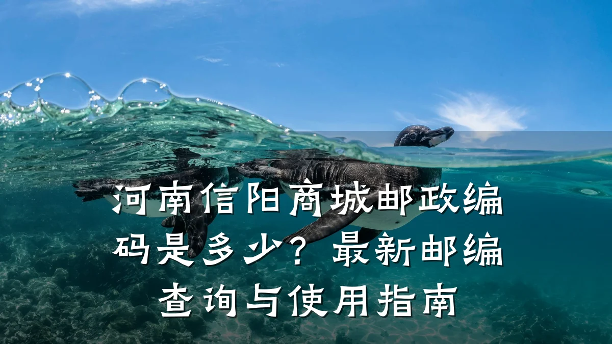 河南信阳商城邮政编码是多少?最新邮编查询与使用指南