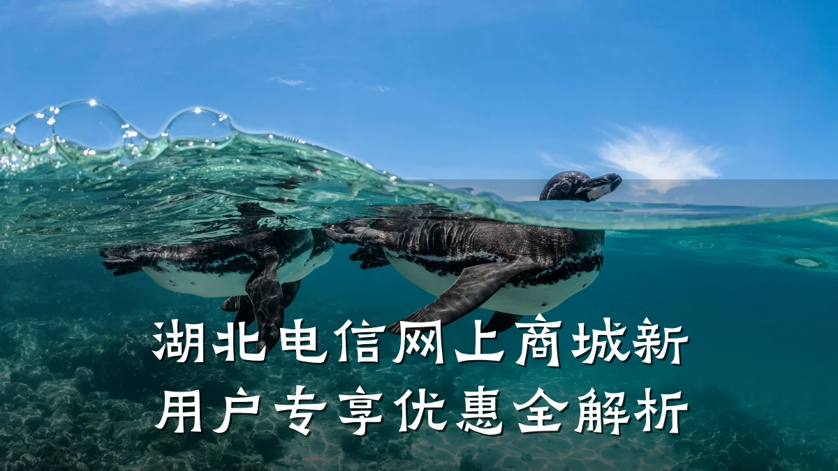 湖北电信网上商城新用户专享优惠全解析