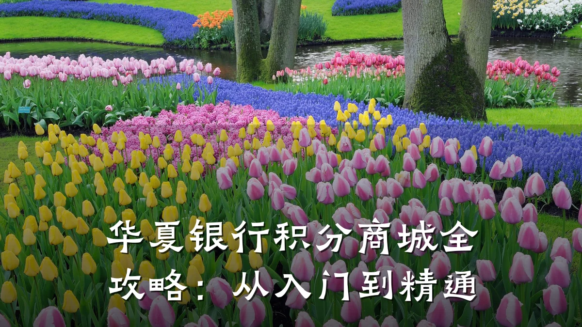 华夏银行积分商城全攻略：从入门到精通