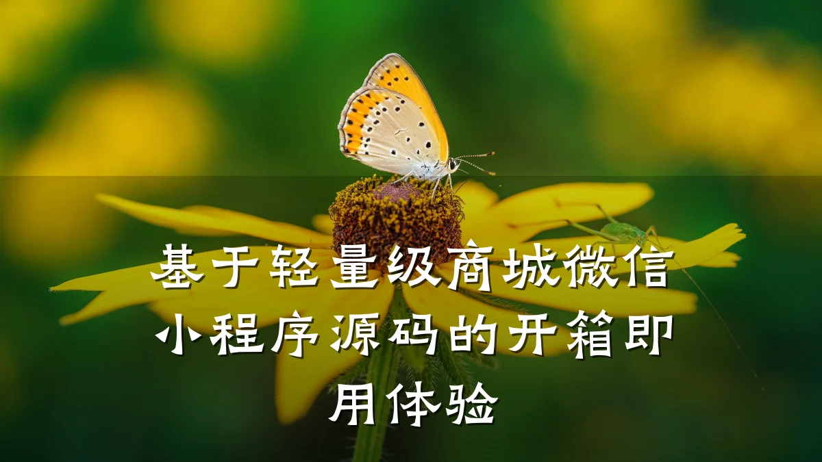 基于轻量级商城微信小程序源码的开箱即用体验