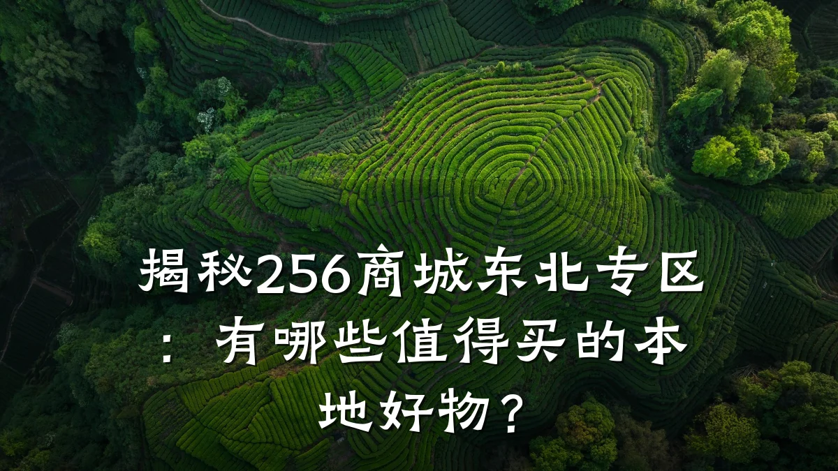 揭秘256商城东北专区：有哪些值得买的本地好物？