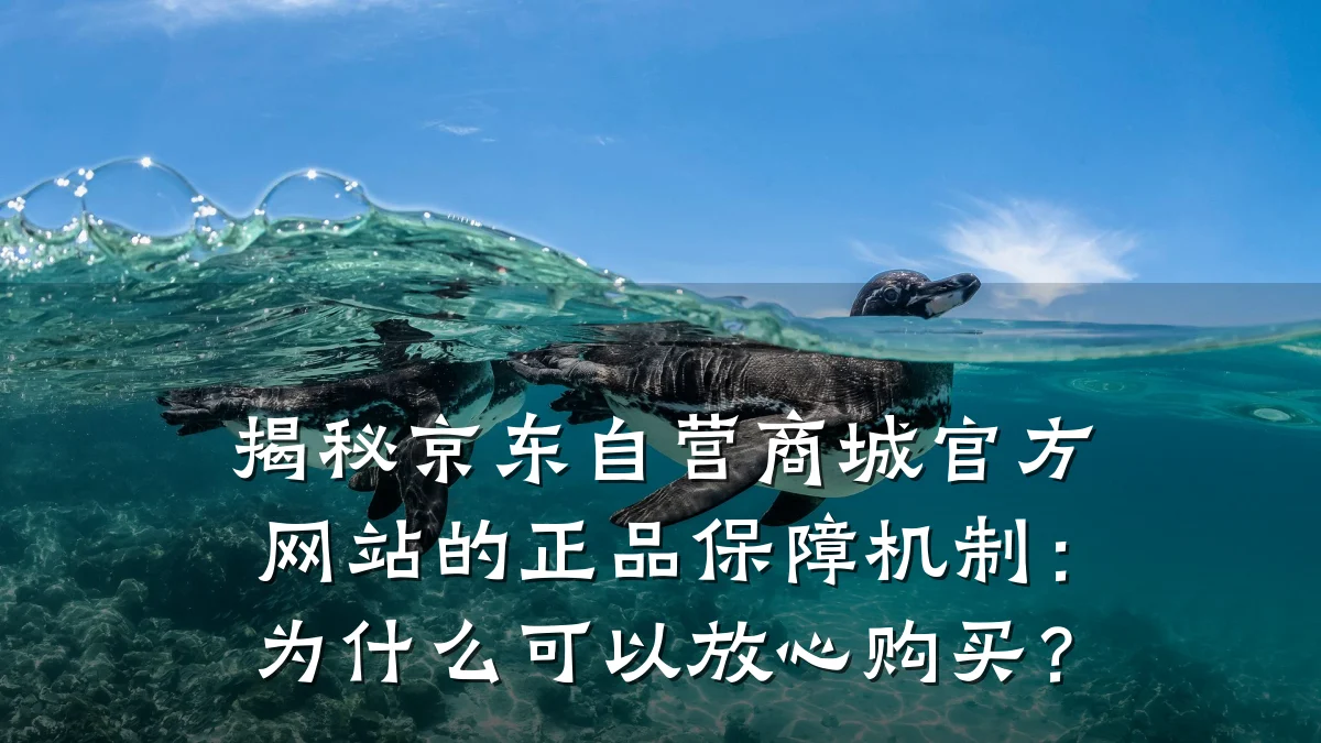 揭秘京东自营商城官方网站的正品保障机制：为什么可以放心购买？