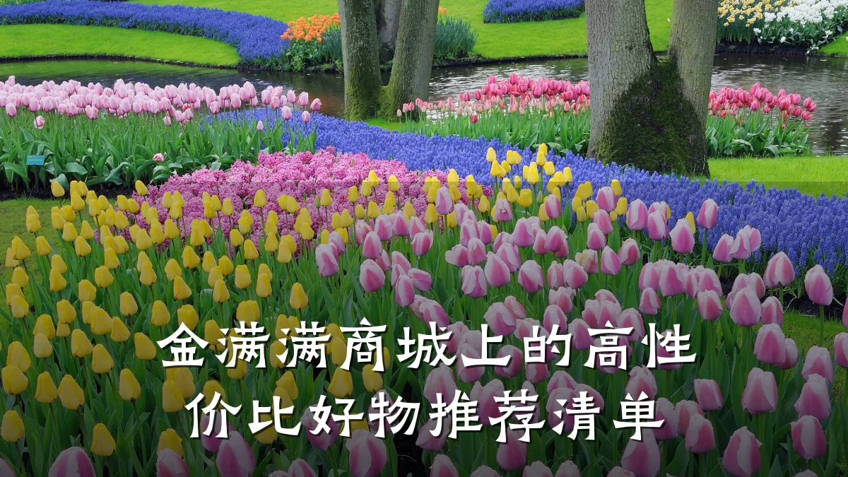 金满满商城上的高性价比好物推荐清单