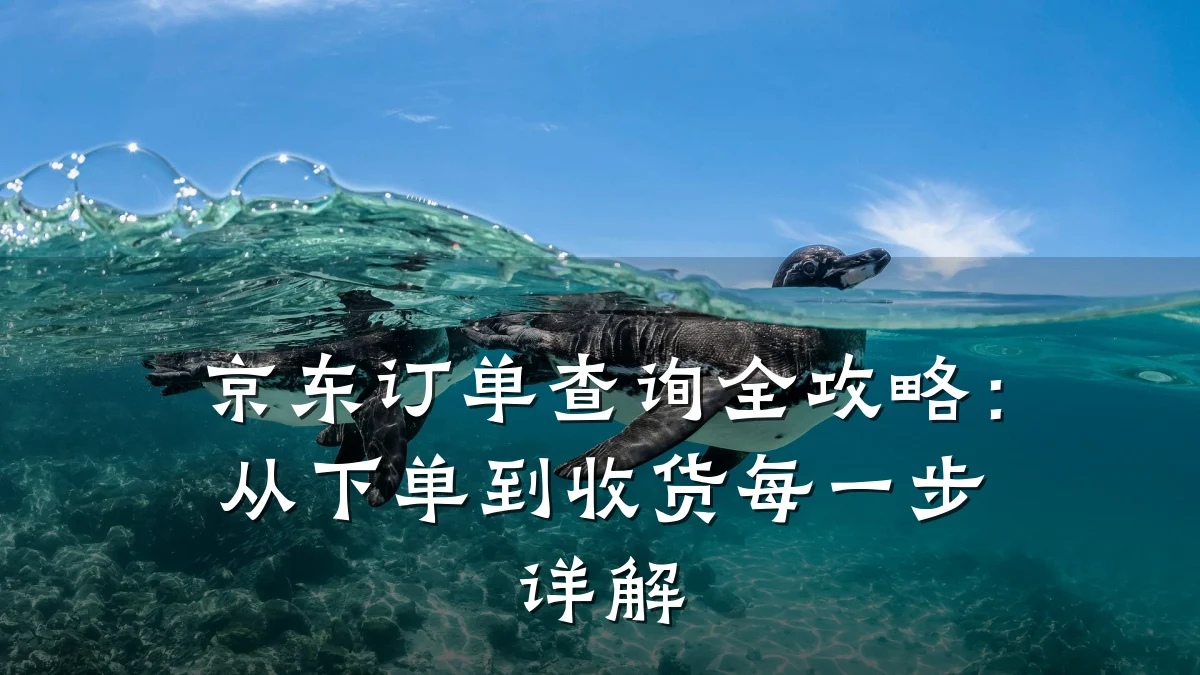 京东订单查询全攻略:从下单到收货每一步详解