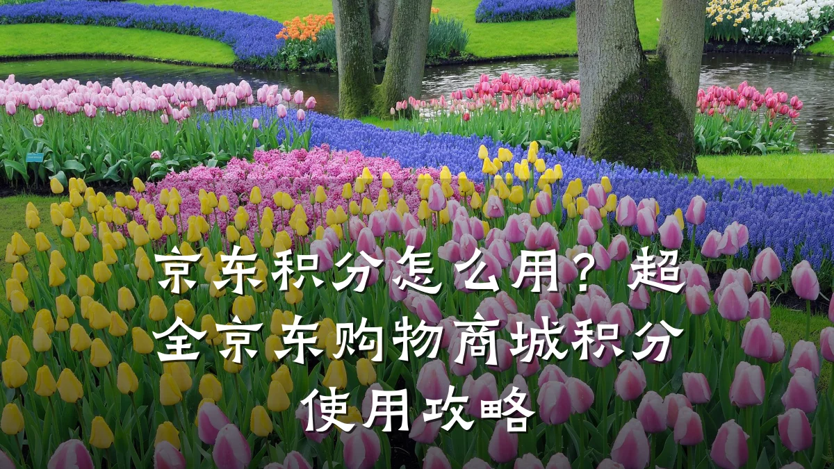 京东积分怎么用?超全京东购物商城积分使用攻略