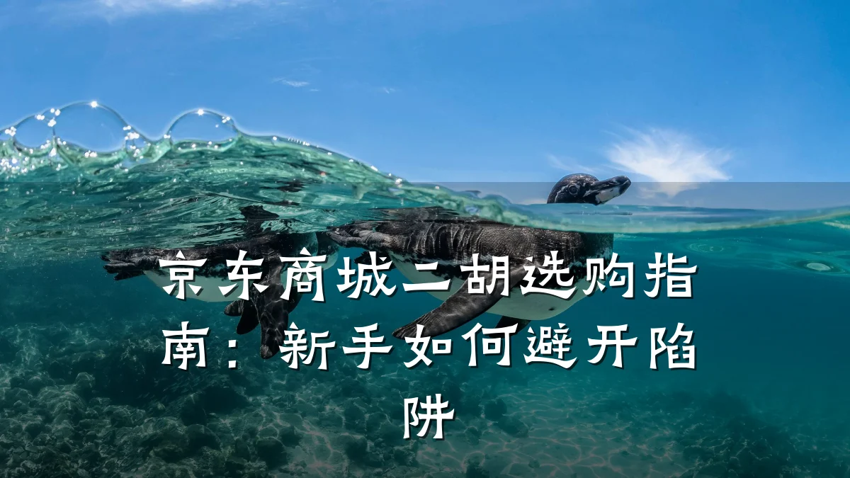 京东商城二胡选购指南：新手如何避开陷阱