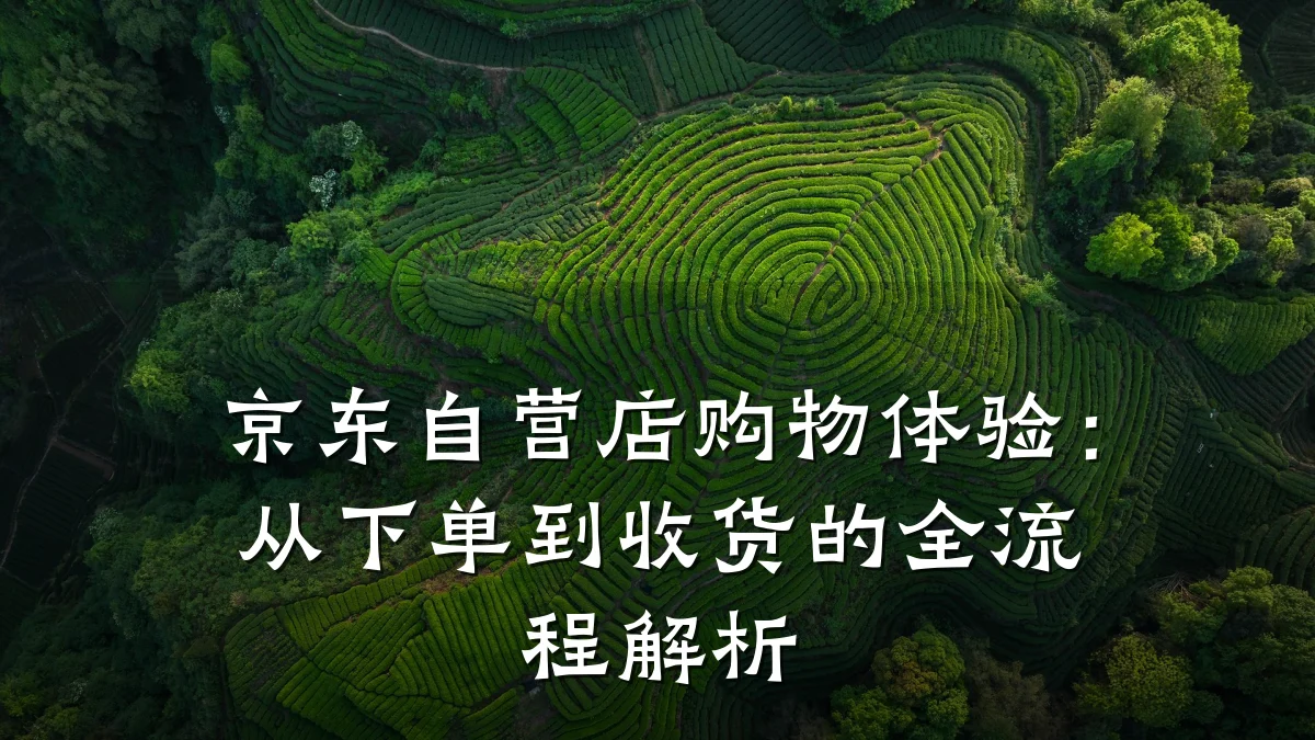 京东自营店购物体验:从下单到收货的全流程解析