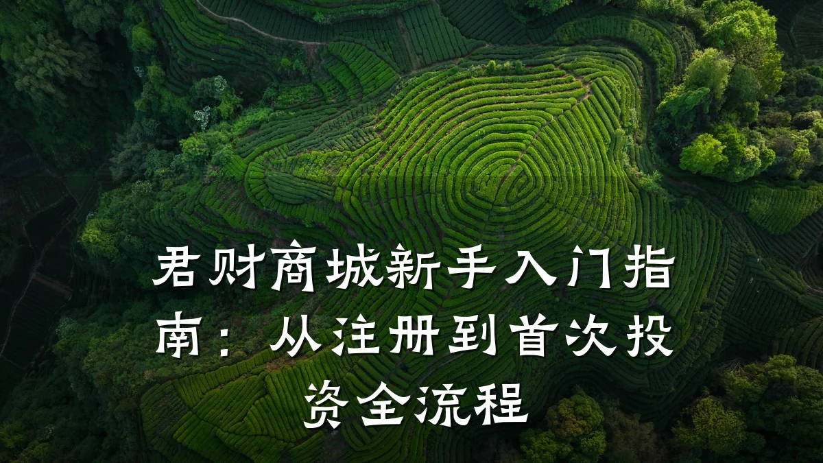君财商城新手入门指南：从注册到首次投资全流程