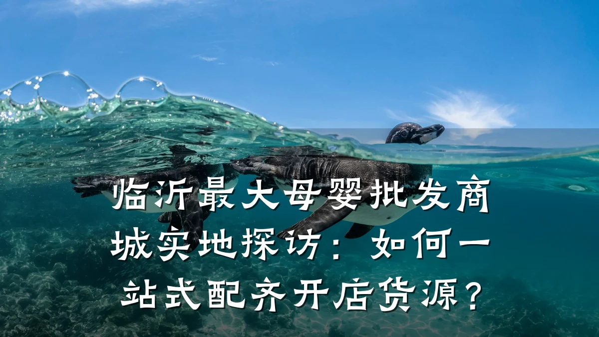 临沂最大母婴批发商城实地探访：如何一站式配齐开店货源？