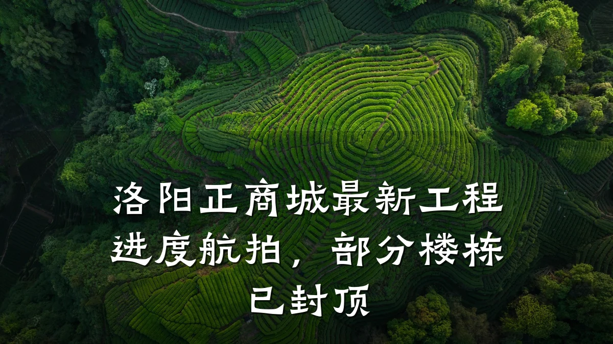 洛阳正商城最新工程进度航拍，部分楼栋已封顶