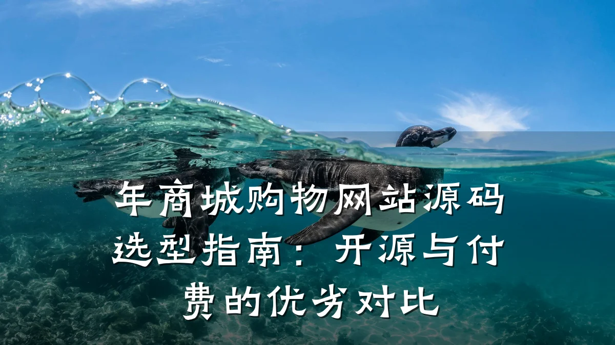 年商城购物网站源码选型指南:开源与付费的优劣对比