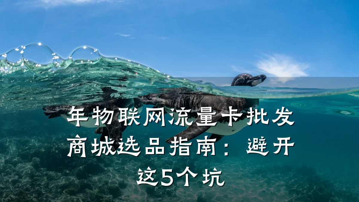年物联网流量卡批发商城选品指南：避开这5个坑