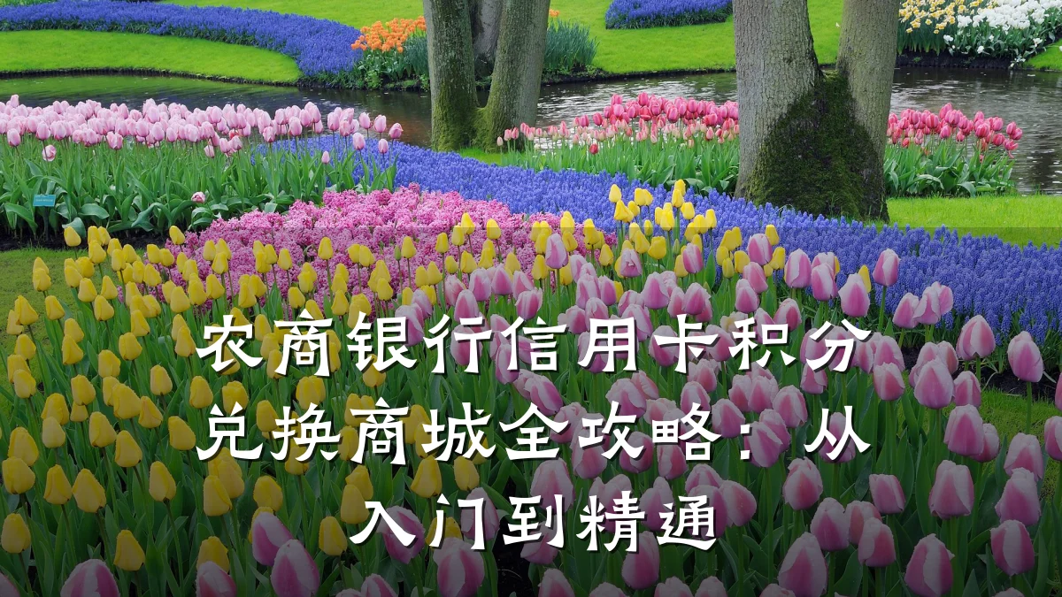 农商银行信用卡积分兑换商城全攻略：从入门到精通
