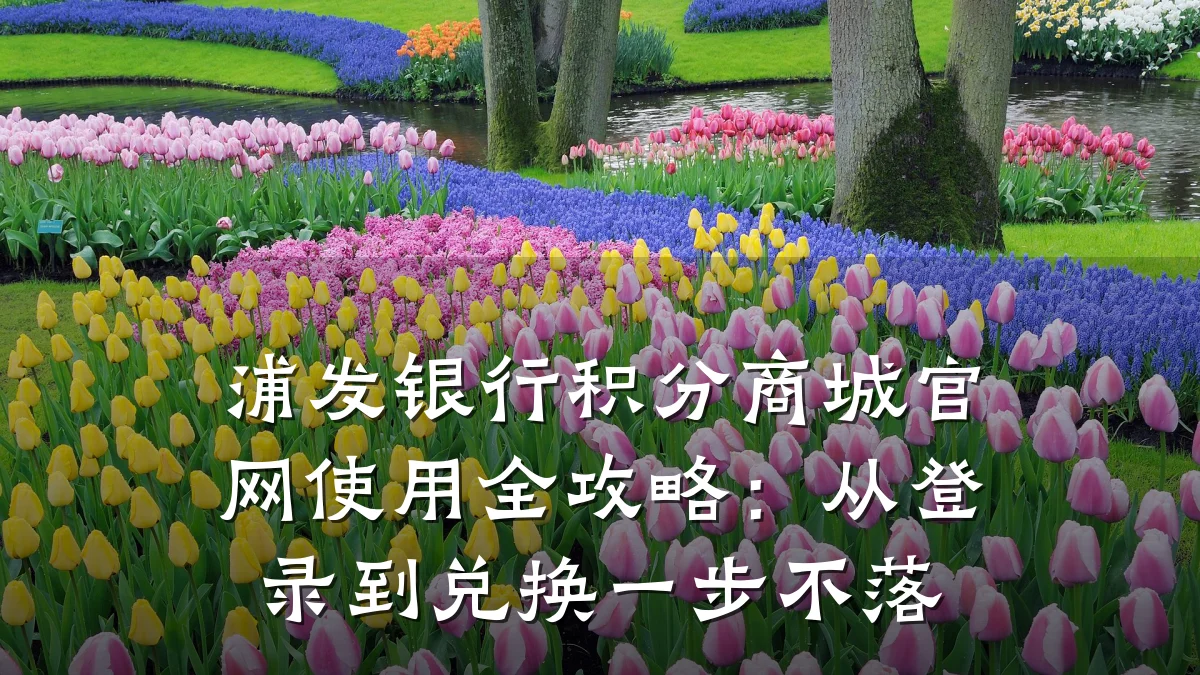 浦发银行积分商城官网使用全攻略：从登录到兑换一步不落